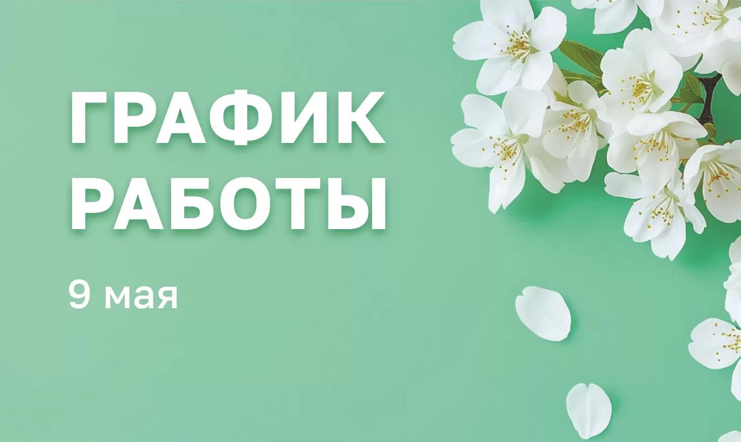 График работы 9 мая 🌸